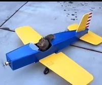 Squirrelawg