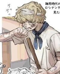 Rosinante Donquixote