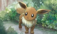 Eevee TF