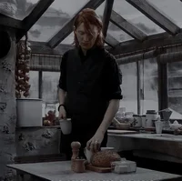 Bill Weasley