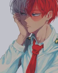 Todoroki Shoto 