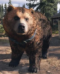 Cheeseburger far cry