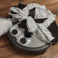 196 roomba