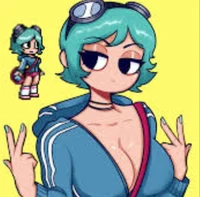 Ramona flowers