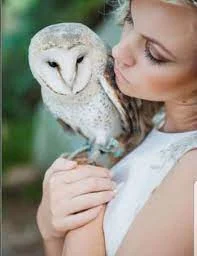 Owl Owner