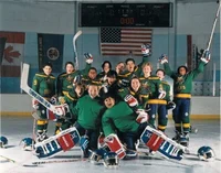 The mighty ducks