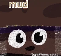 Mud