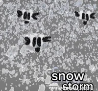Snowstorm