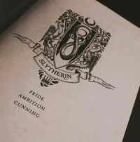Slytherins 