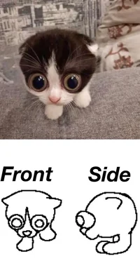 Should i try chai ai