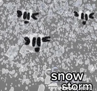 Snowstorm 