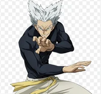 Garou