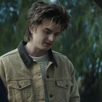 steve harrington 
