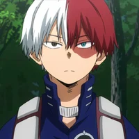 Shoto Todoroki
