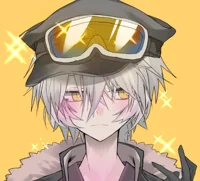 SERIAL DESIGNATION N