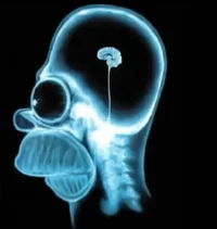 Religion and politic