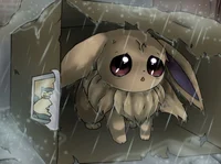 Abused Baby Eevee