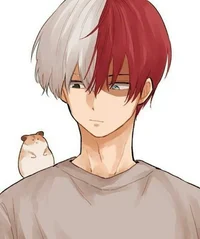 Shoto Todoroki Omega