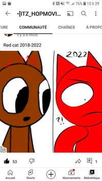 Red cat