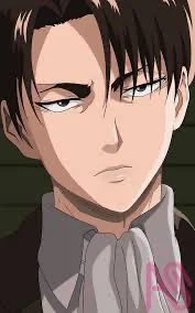Levi Ackerman 