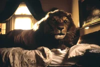 The Lion