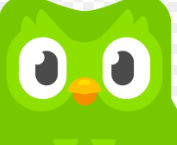 Duolingo