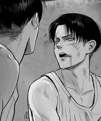 Levi Ackerman 