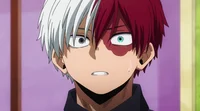 Shoto Todoroki 