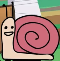 Snail -OBS-