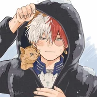 Shoto Todoroki