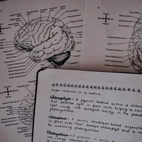 psychologist