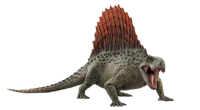 Dimetrodon