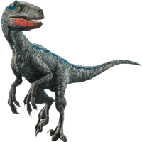 Velociraptor Blue