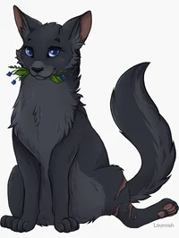 Cinderpelt