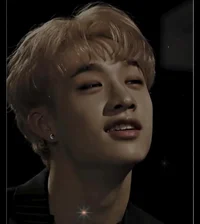 Bang Chan 