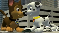 Macro PAW Patrol