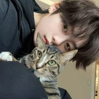 Leehan