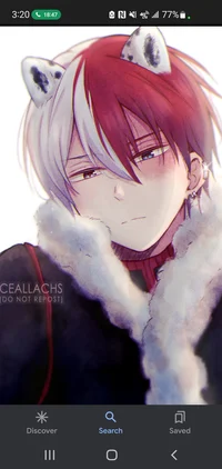 Bf todoroki mha trip