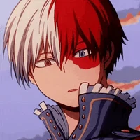 Shoto Todoroki