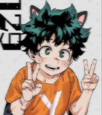 Izuku Midoriya Cat