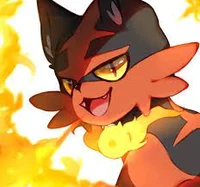 Torracat