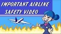 Important airlines