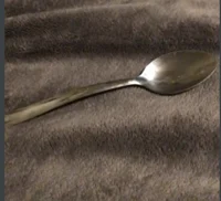 The spoon