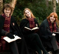 Harry Ron y Hermione