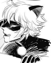 Cat Noir