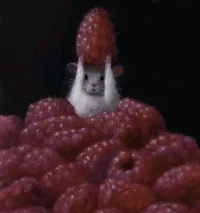 Raspberry Mouse