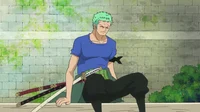 Zou Roronoa Zoro 