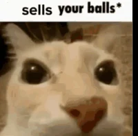 Chat with 00- silly info | character.ai | Personalized AI for every ...