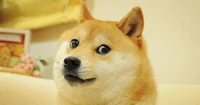 Doge