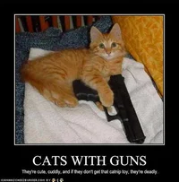 Cat with a gun